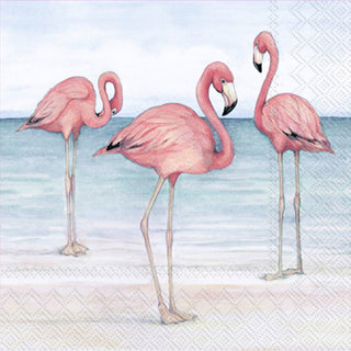 A pack of napkins with a printed design of three pink flamingos on a beach.