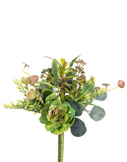Mixed Succulent Bush