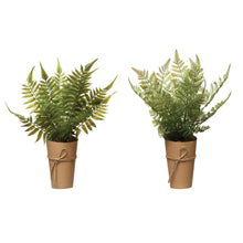 Load image into Gallery viewer, Fern in Paper Wrapped Pot
