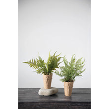 Load image into Gallery viewer, Fern in Paper Wrapped Pot
