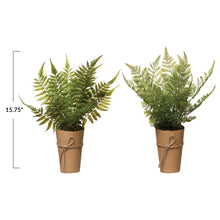 Load image into Gallery viewer, Fern in Paper Wrapped Pot
